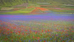 image002